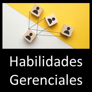 Habilidades Gerenciales